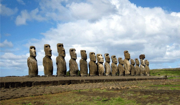 �D�lһ�l���ܽ�ĺ���Ϣ��